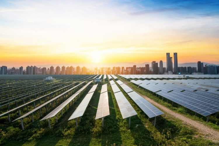 renewable energy-solar-panels